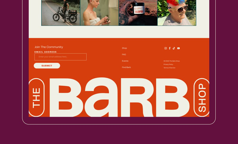 Barb website frame