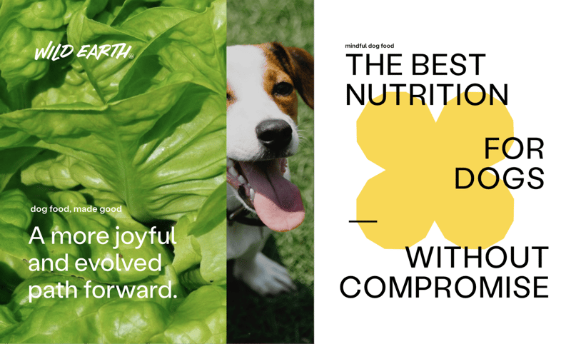 Wild Earth - A more joyful and evolved path forward. The best nutrition for dogs without compromise. 